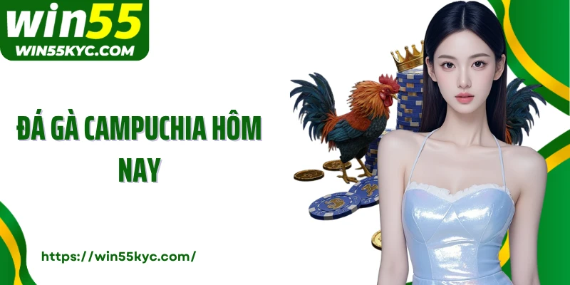 Đá Gà Campuchia Hôm Nay - Cập Nhật Kèo Gà, Tỷ Lệ Cực Nóng