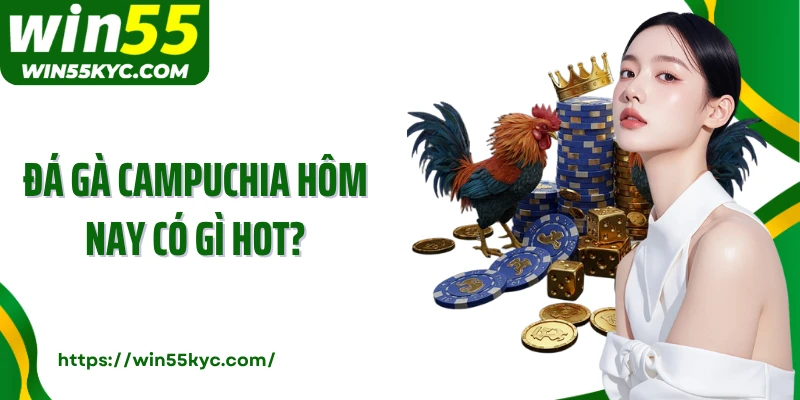 Đá gà Campuchia hôm nay có gì hot?