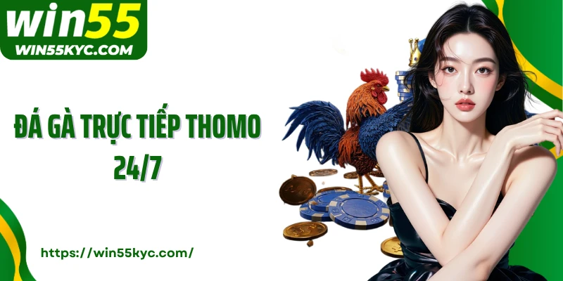 Đá Gà Trực Tiếp Thomo 24/7: Thưởng Thức Đại Chiến Chọi Gà
