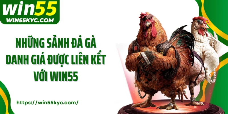 Những sảnh đá gà danh giá được liên kết với Win55