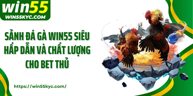 Sảnh đá gà Win55 siêu hấp dẫn và chất lượng cho bet thủ