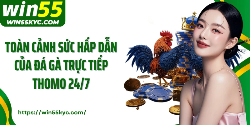 Toàn cảnh sức hấp dẫn của đá gà trực tiếp Thomo 24/7
